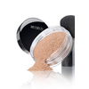 Artdeco High Definition Loose Powder 