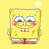Jing Y.