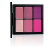 MAC Pro Lip Palette Preferred Pinks