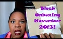 Blush Mystery Beauty Box November!