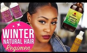 Natural Hair Winter Regimen | Wash Day, Moisturizing, Hair Porosity, Protective Styling  | Shlinda1