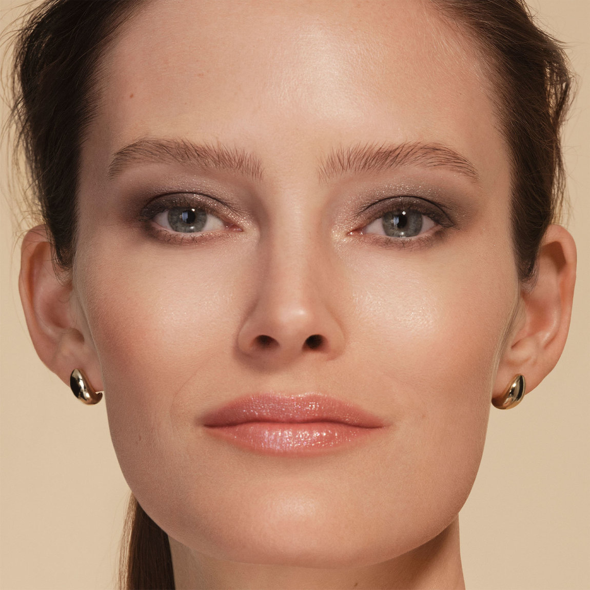 CHANTECAILLE 限定版 アイシャドウパレット等セット Chantecaille