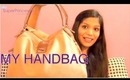 Whats In My Handbag Carry on Bag in Airline Travel