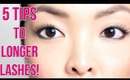 HOW TO: Grow Your Eyelashes Back Fast!