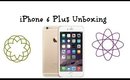 iPhone 6 Plus Unboxing