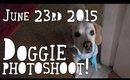 VLOG | June 23rd 2015 - Doggie photoshoot! | Queen Lila