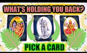 PICK A CARD & SEE WHAT IS HOLDING YOU BACK? │ WEEKLY TAROT READING!