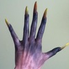 Wearwolf claws