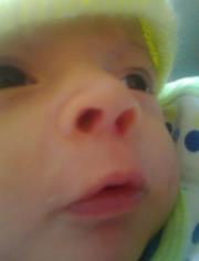 Majito alan O.