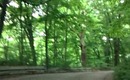 Forest Park : r.v., picnic, long walk , lake