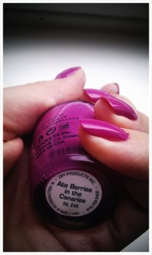 opi_ate-berries-in-the-canaries