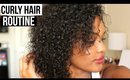 Curly Hair Routine | Collab W/ TaylorNicholeXO