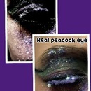Peacock Eyes-Photoshop And Nonphotoshop