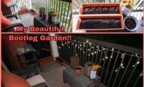 My Beautiful Bootleg Balcony Garden