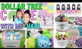 COME WITH ME TO DOLLAR TREE AND HAUL! SO MANY NEW THINGS!