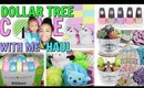 COME WITH ME TO DOLLAR TREE AND HAUL! SO MANY NEW THINGS!