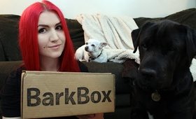 First BarkBox! November 2014