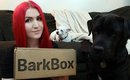 First BarkBox! November 2014