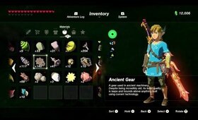 Girl tries to find shrines and beat the Trial of the Sword in LoZ Breath of the Wild: Part 55