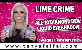 Lime Crime Diamond Dew Liquid Eyeshadow ALL 10! | Swatches & First Impression | Tanya Feifel