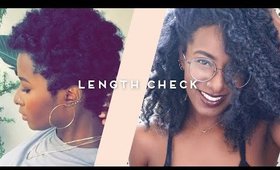 LENGTH CHECK | 2yrs + 5mo Since Big Chop