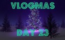Vlogmas - Day 23 - The one with a LOT of swans and 2 loaves of bread