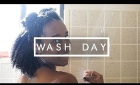 WASH DAY (Type 4 Natural Hair)
