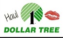 Dollar Tree Haul [March 6 2014]