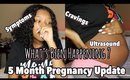 Communicating With Him | 5 Month Pregnancy Update