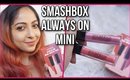 SMASHBOX ALWAYS ON MINI MATTE DUO Liquid Lipstick | Review & Swatches | Stacey Castanha
