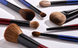 Best Makeup Brushes for Beginners by Expert Sonia G. 