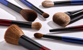 Best Makeup Brushes for Beginners by Expert Sonia G. 