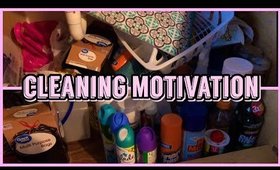 Cleaning & Organizing Kitchen & Bathroom Cabinets