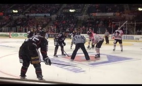 Sheffield Steelers Home Games (vs Nottingham Panthers, Hull Stingrays & Cardiff Devils)