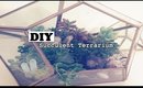 ☾ DIY: Healing Crystal Succulent Terrarium ☽