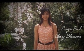 Kariya Park Cherry Blossoms | OOTD