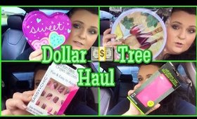 Dollar 💵 Tree Haul | Nails, Baby Items, Household, Valentines Stuff