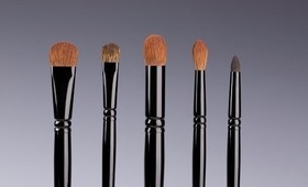 WAYNE GOSS THE EYE SET - COMING THIS APRIL!