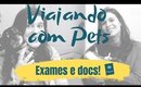 VIAGEM internacional com cachorro e gato #1 | Exames e Documentos