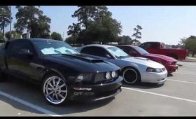 Mustang Cruise & Black Dog Records Haul