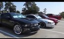 Mustang Cruise & Black Dog Records Haul