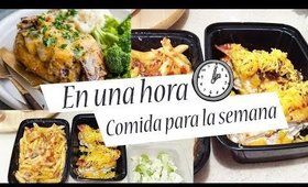 MEALPREP No. 9 Cocina 1 HORA COMIDA para la SEMANA /Cocina rápido, fácil y económico  | Kittypinky