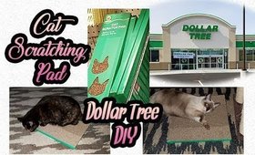 Dollar Tree DIY  | Cat Scratching Pad |  PrettyThingsRock