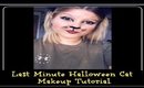 Last Minute Halloween Cat Makeup Tutorial