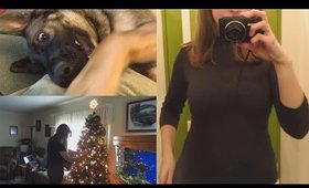 Christmas Trees, Puppies, and More (Vlogmas Day 6)