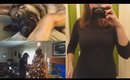 Christmas Trees, Puppies, and More (Vlogmas Day 6)