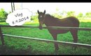 Petting a horse // Vlog 8.9.2014