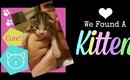 We Found A Kitten Vlog