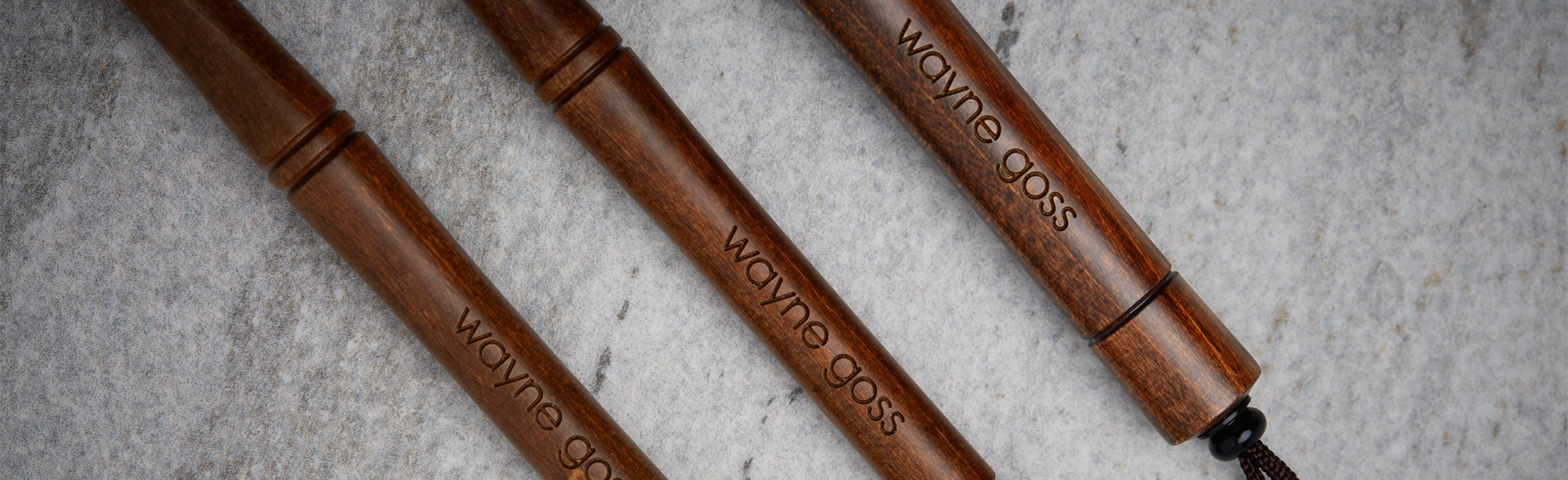 Wayne Goss The Artist Brushes