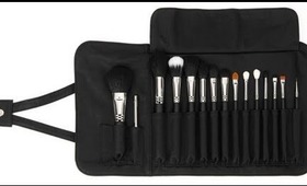 Show & Tell :: Sigma Premium Brush Set